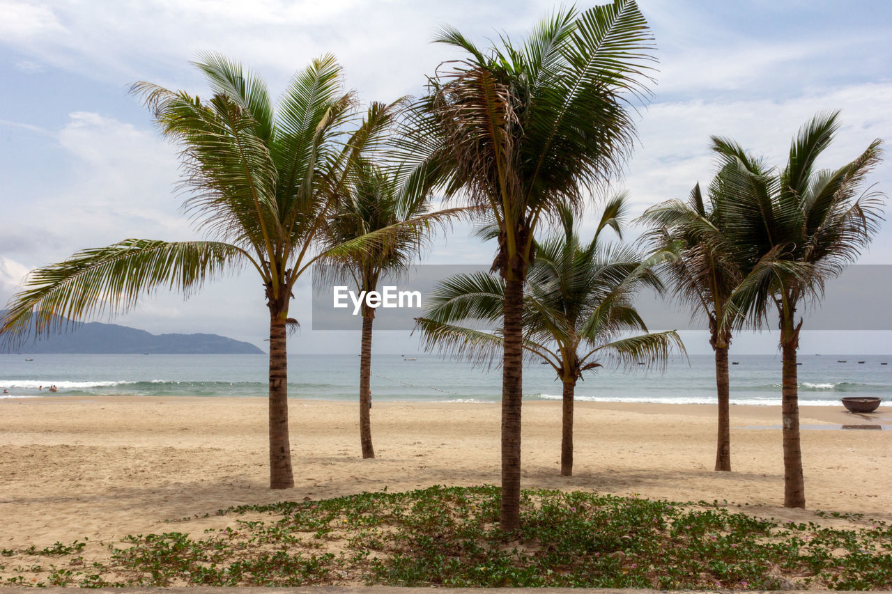 PALM TREES BY SEA AGAINST SKY