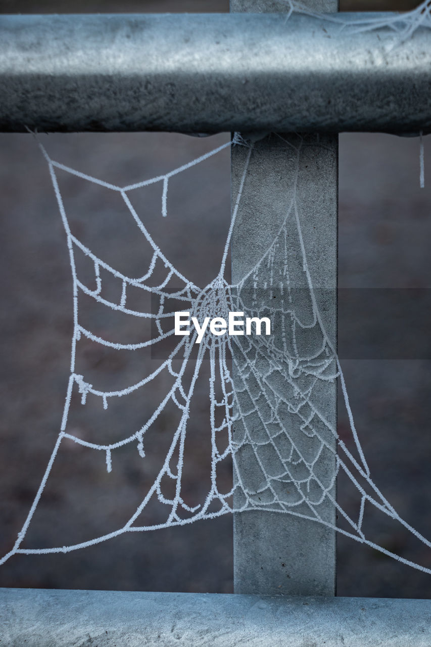 iron, spider web, no people, close-up, spider, animal, glass, focus on foreground, day, outdoors, architecture, fragility, damaged, broken, nature, cracked, wing, line