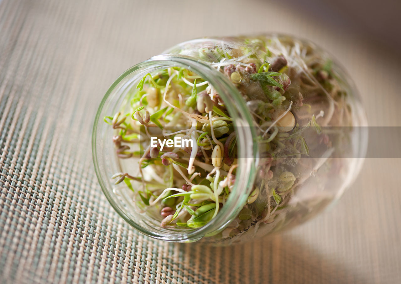 Close-up of sprouts in jar on table