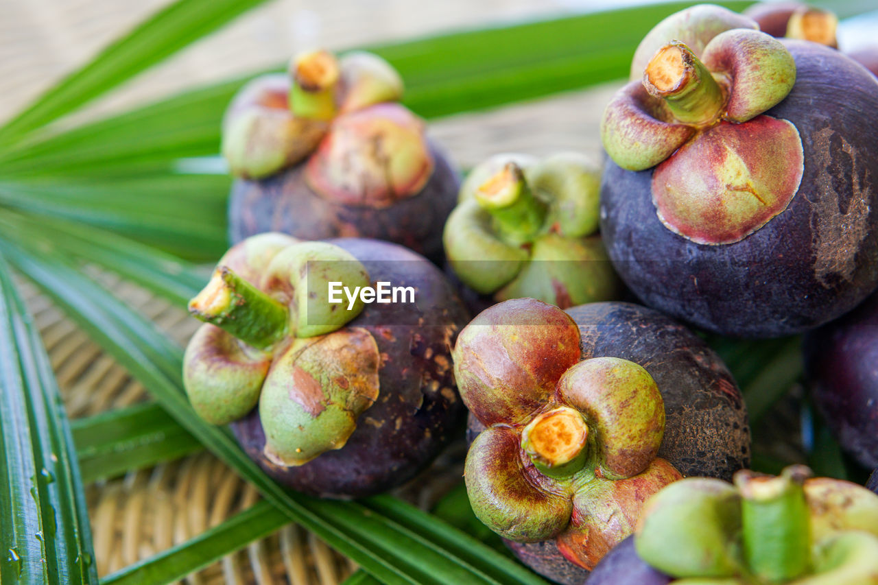 CLOSE-UP OF FRUITS