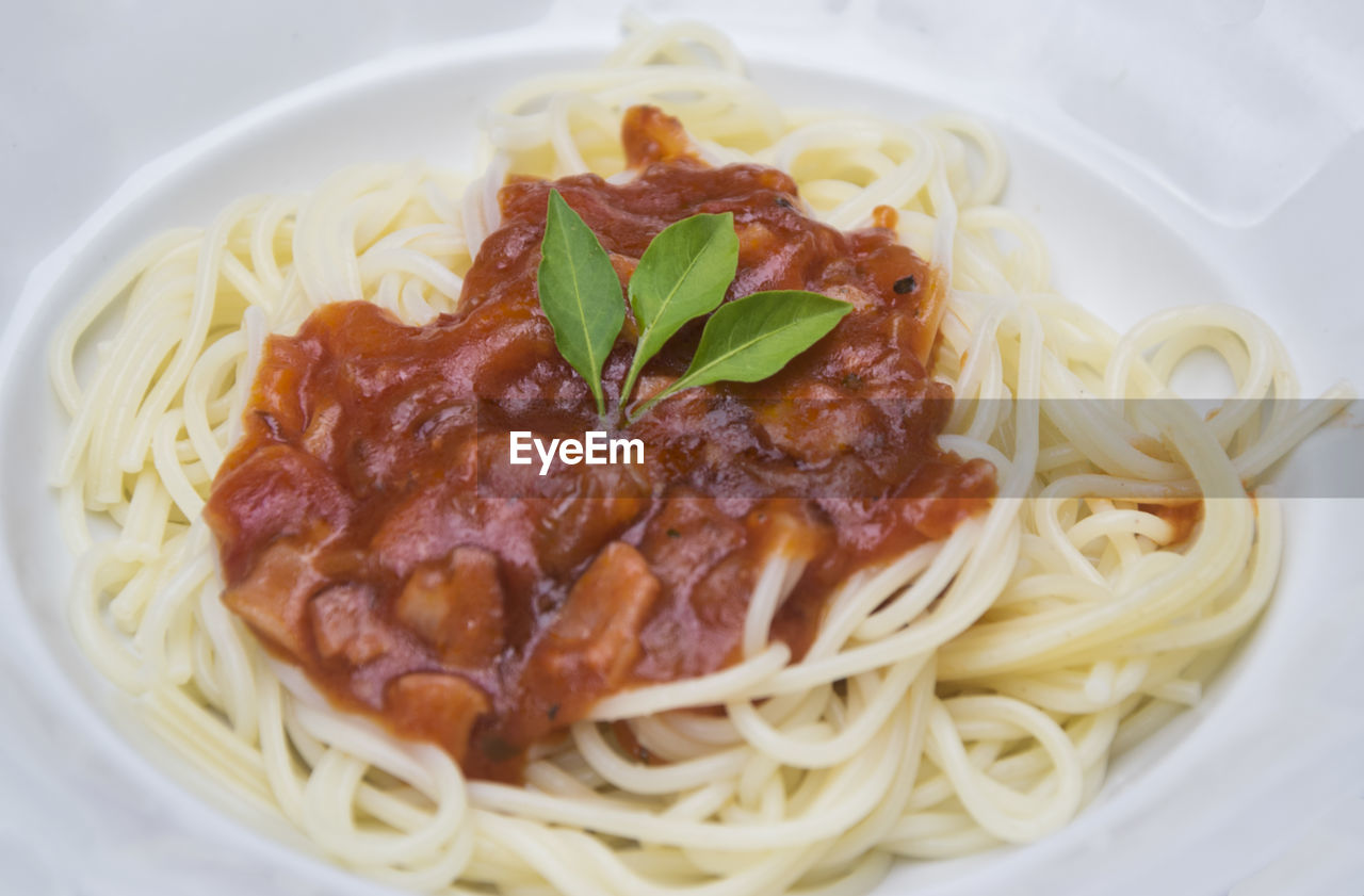 Close-up of spaghetti served with sauce in plate