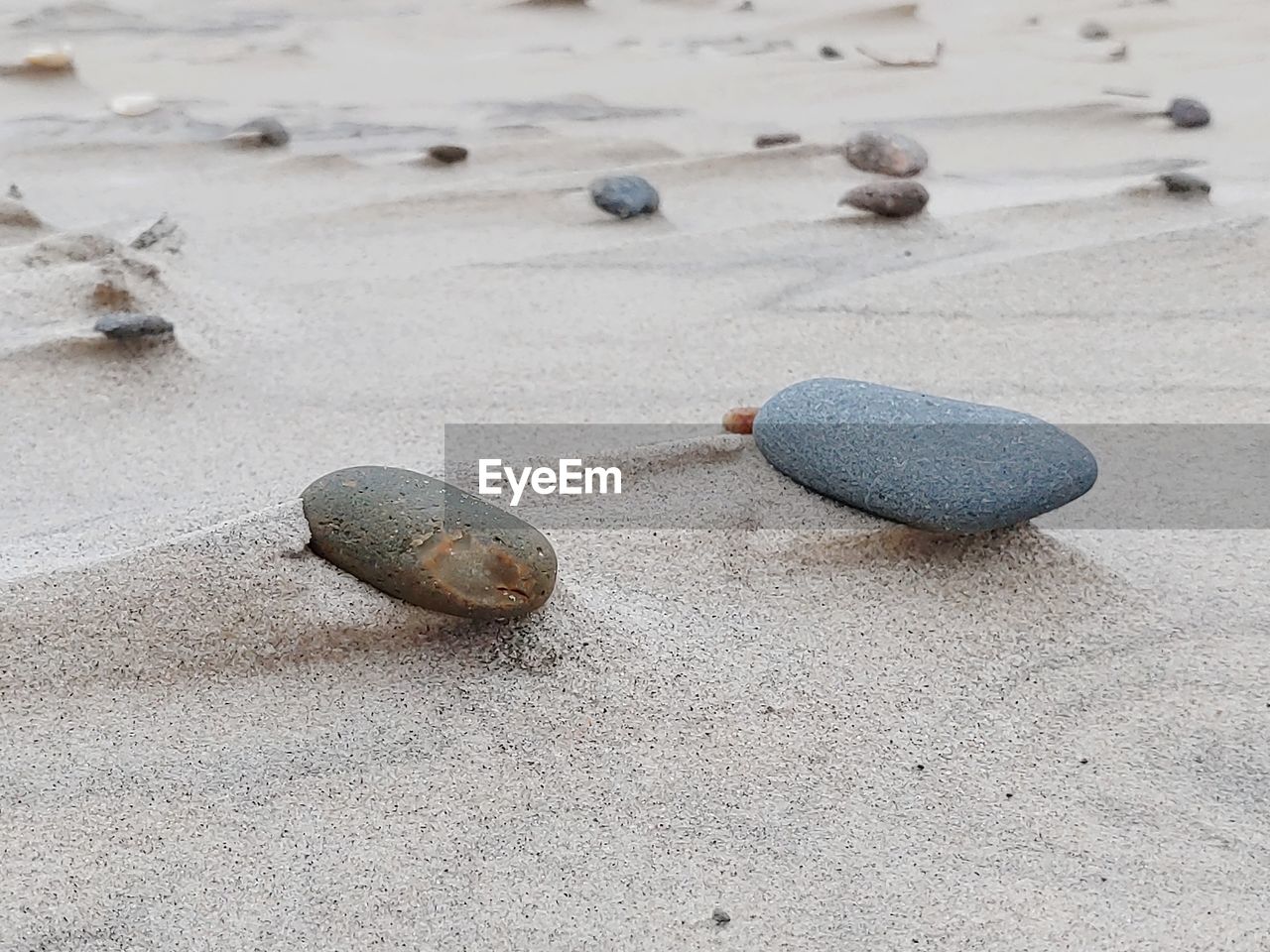 HIGH ANGLE VIEW OF SHELL ON SAND