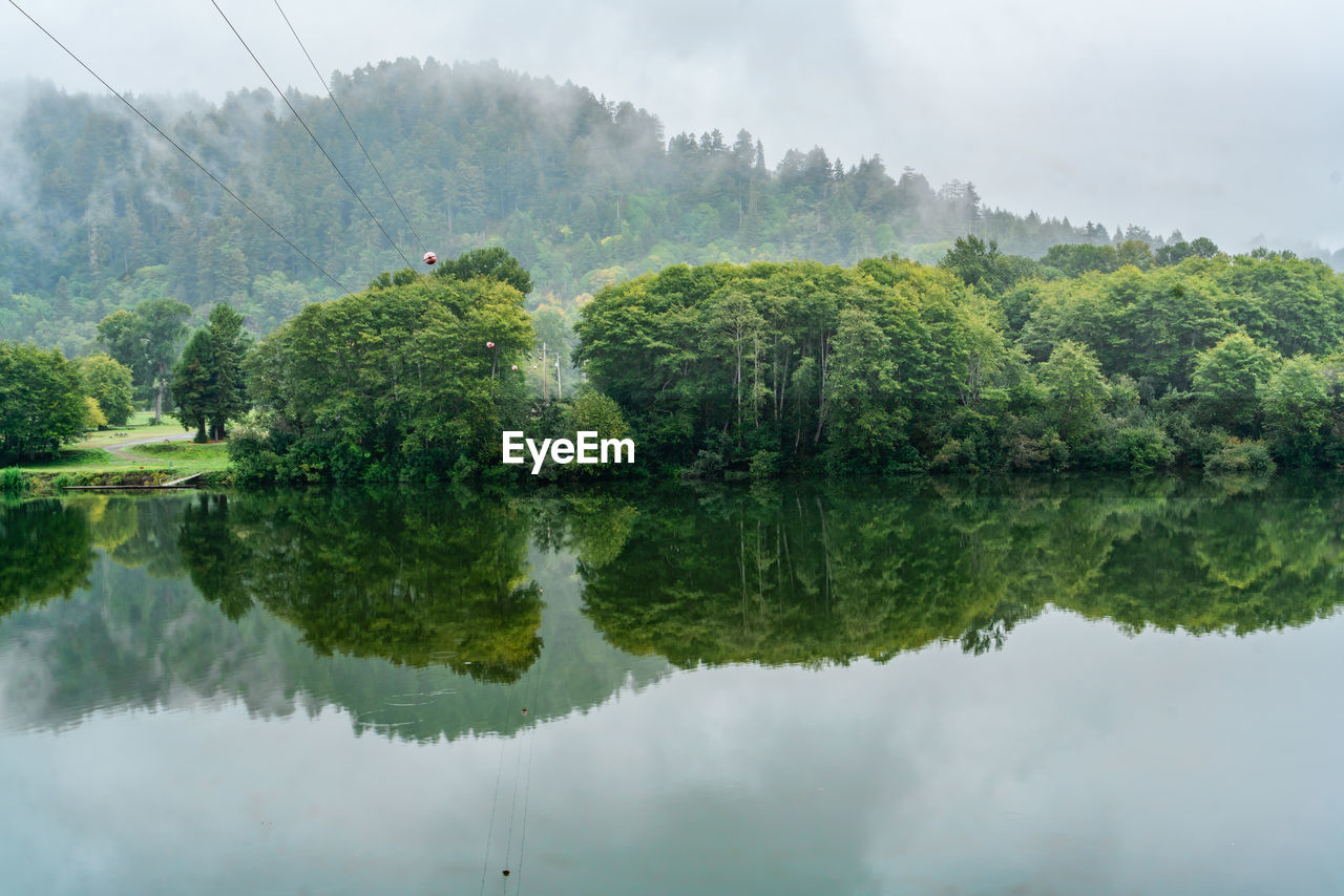 A view of a foggy river somewhere in oregon state.