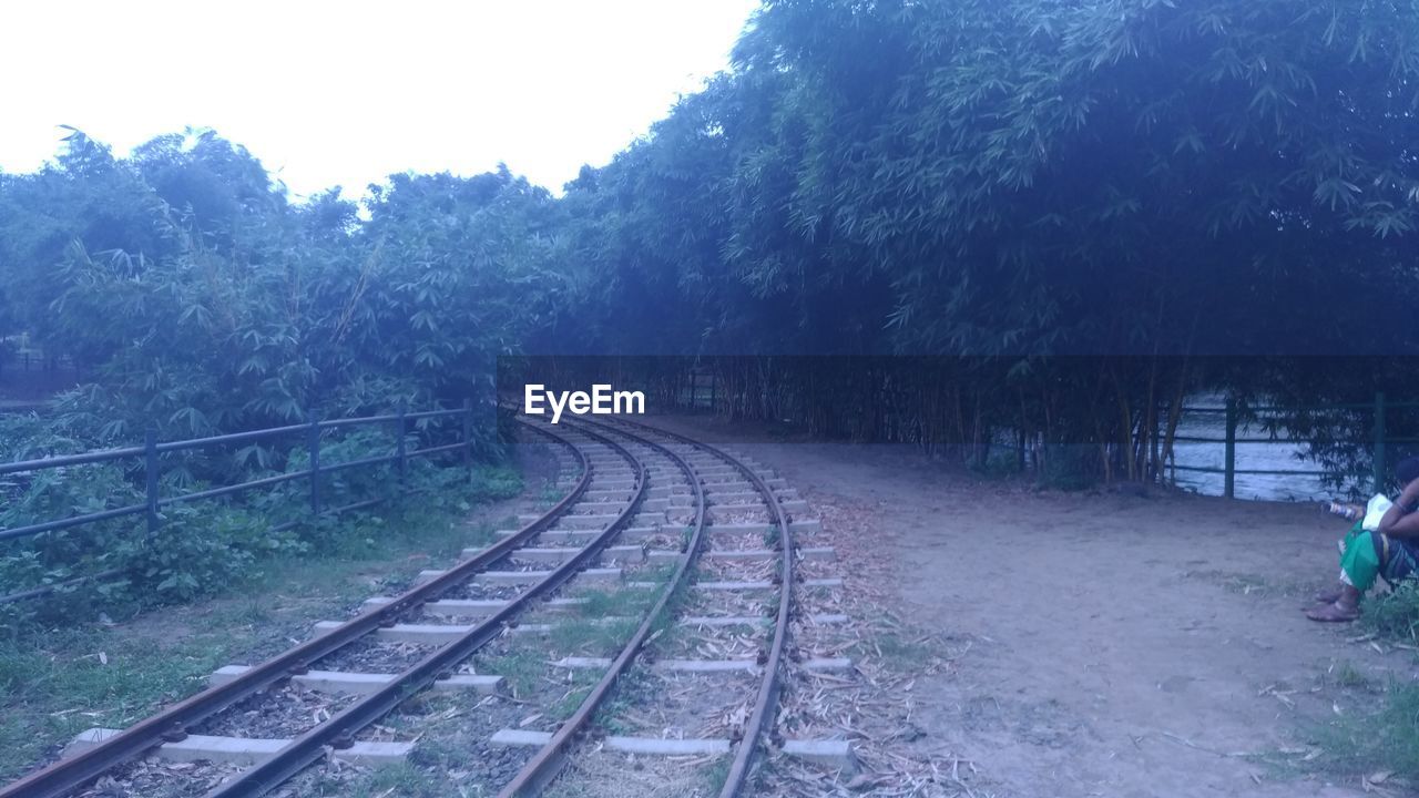 VIEW OF RAILROAD TRACKS ALONG TREES