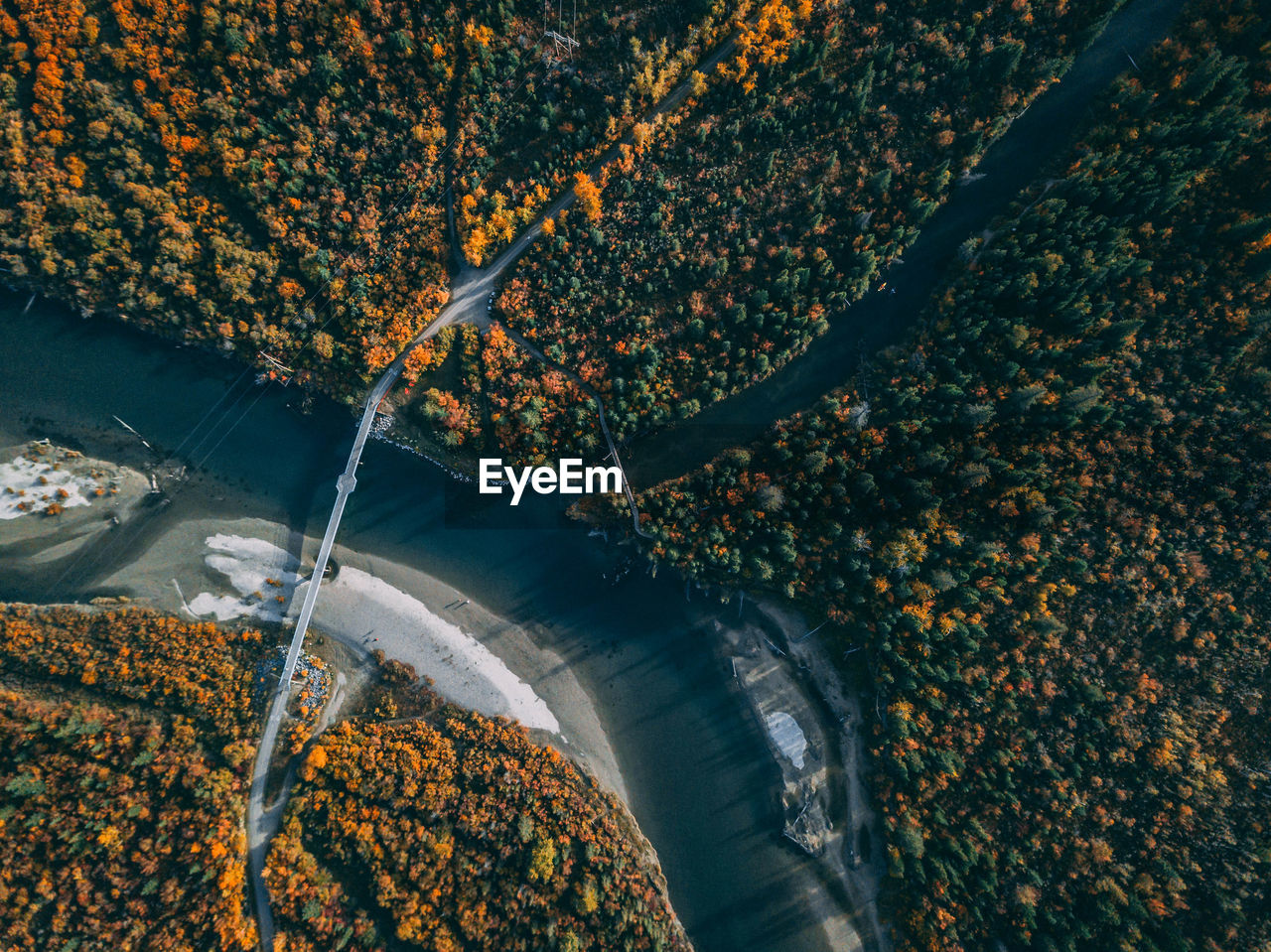 HIGH ANGLE VIEW OF AUTUMN TREE BY WATER