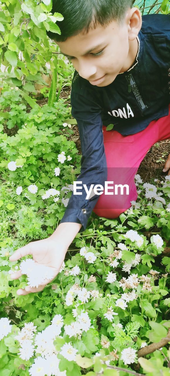 HIGH ANGLE VIEW OF GIRL WITH FLOWER PETALS