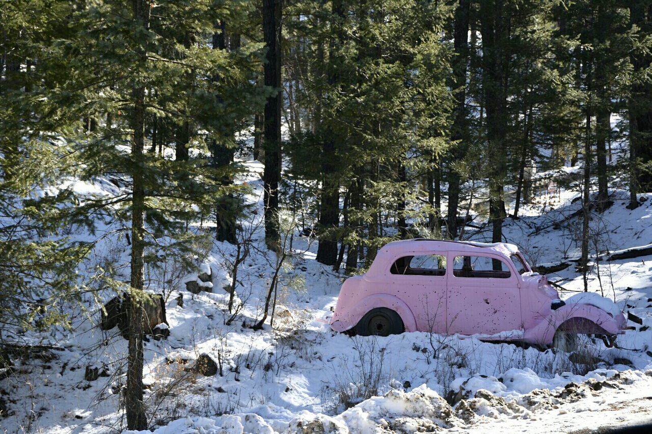 Old pink car in forest at winter