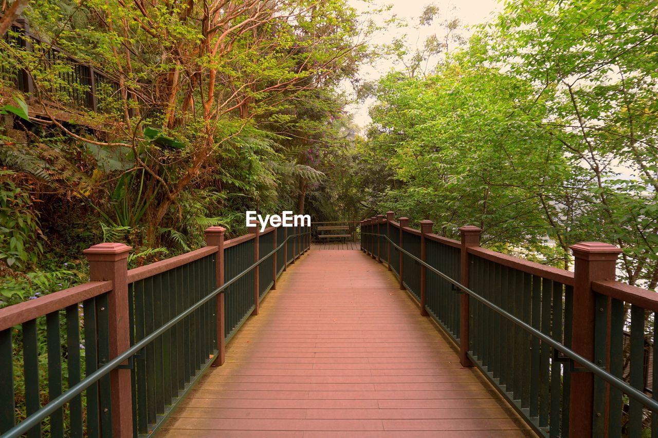 Footbridge amidst trees in forest