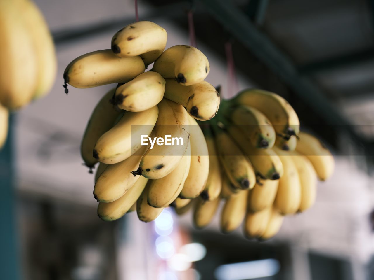 banana, food and drink, food, healthy eating, fruit, hanging, yellow, freshness, wellbeing, produce, bunch, no people, focus on foreground, cooking plantain, flower, plant, close-up, macro photography, ripe, indoors, retail