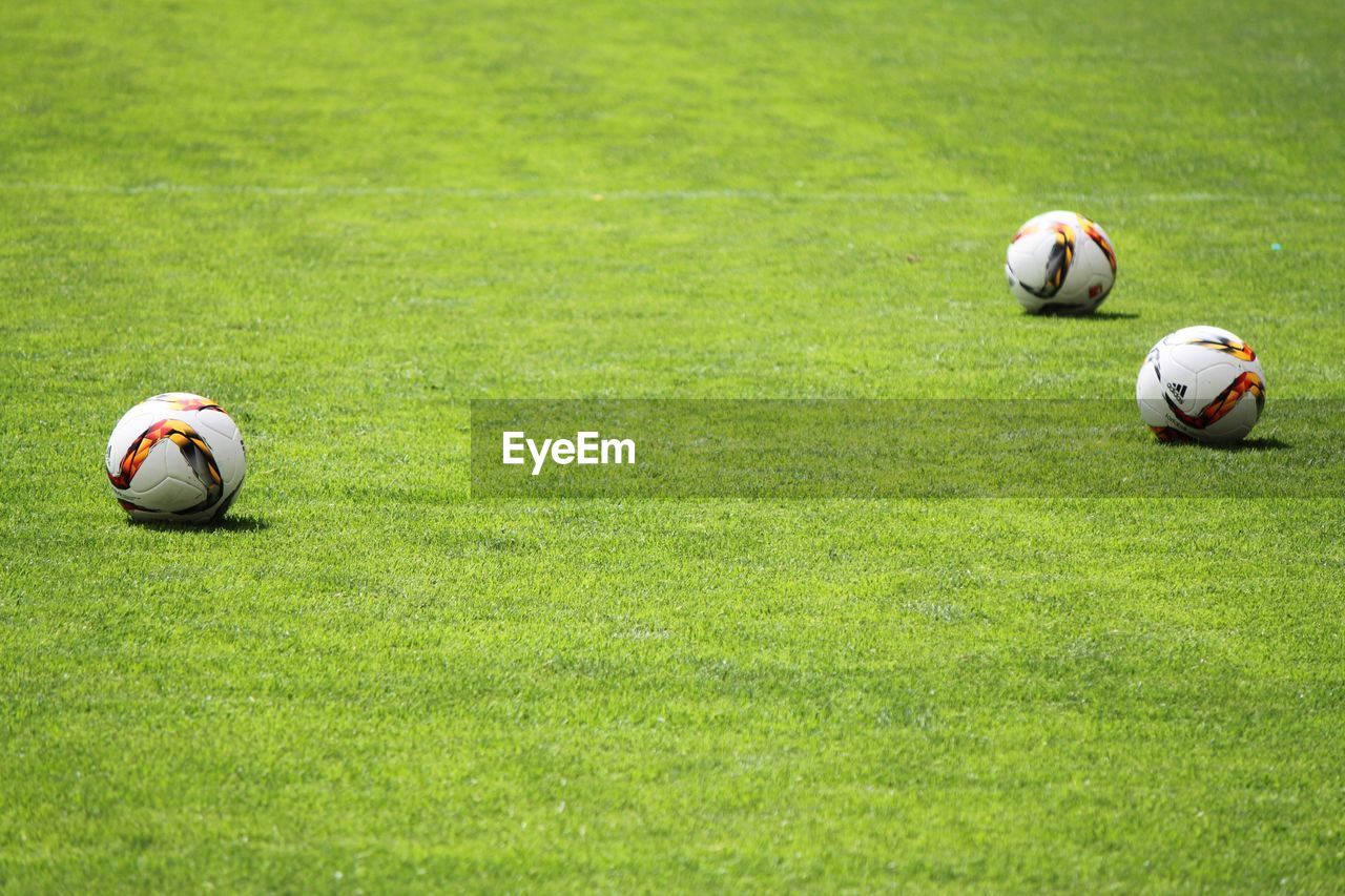 SOCCER BALL ON GRASS