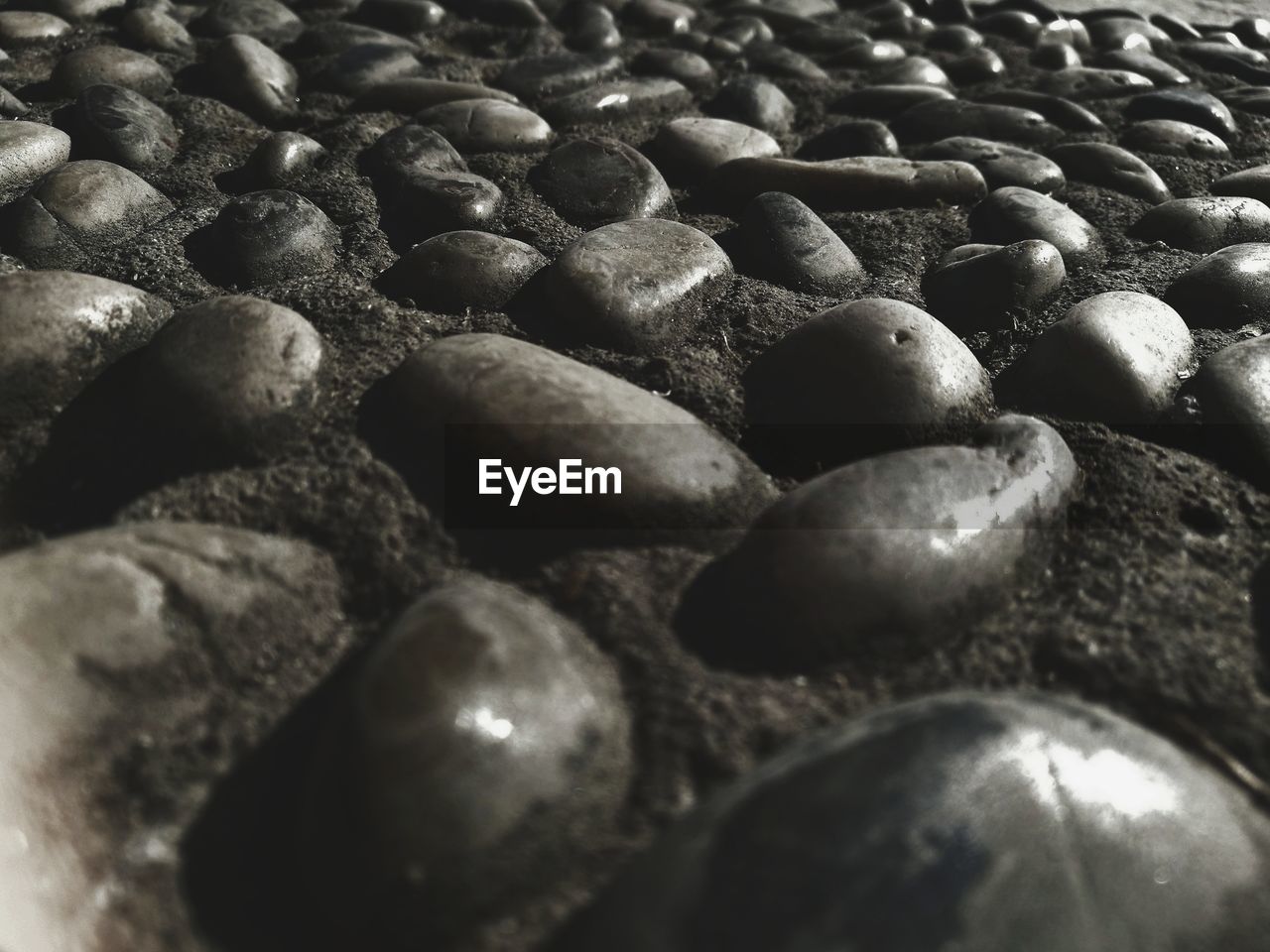 CLOSE-UP OF PEBBLES