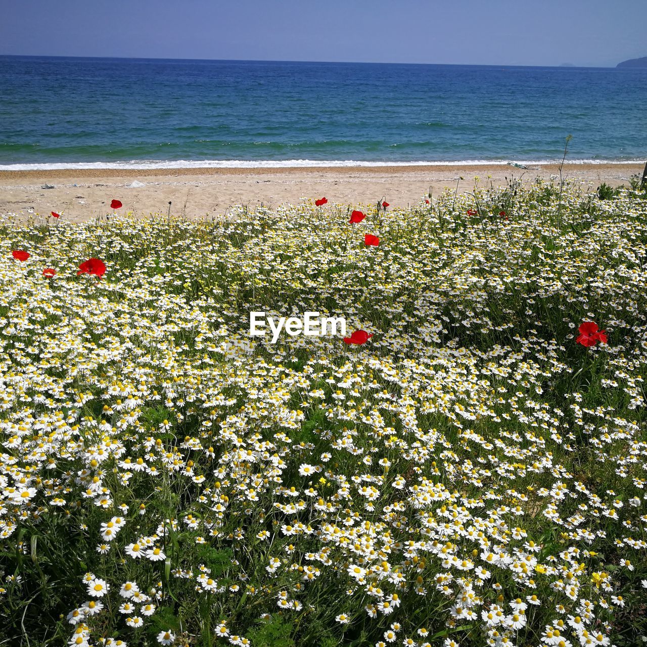SCENIC VIEW OF SEA AGAINST SKY AT DUSK