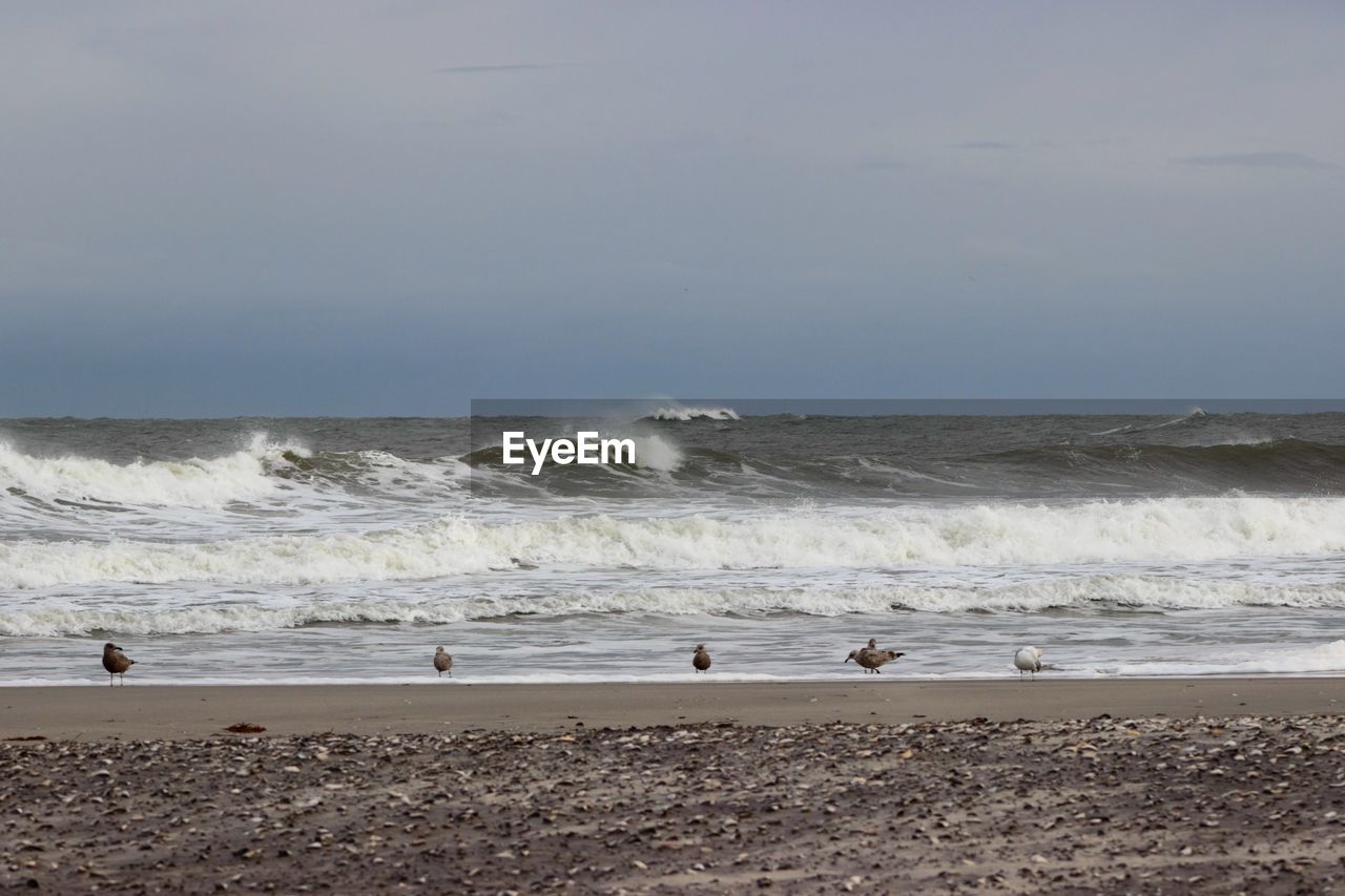 Scenic view of beach and sea against sky