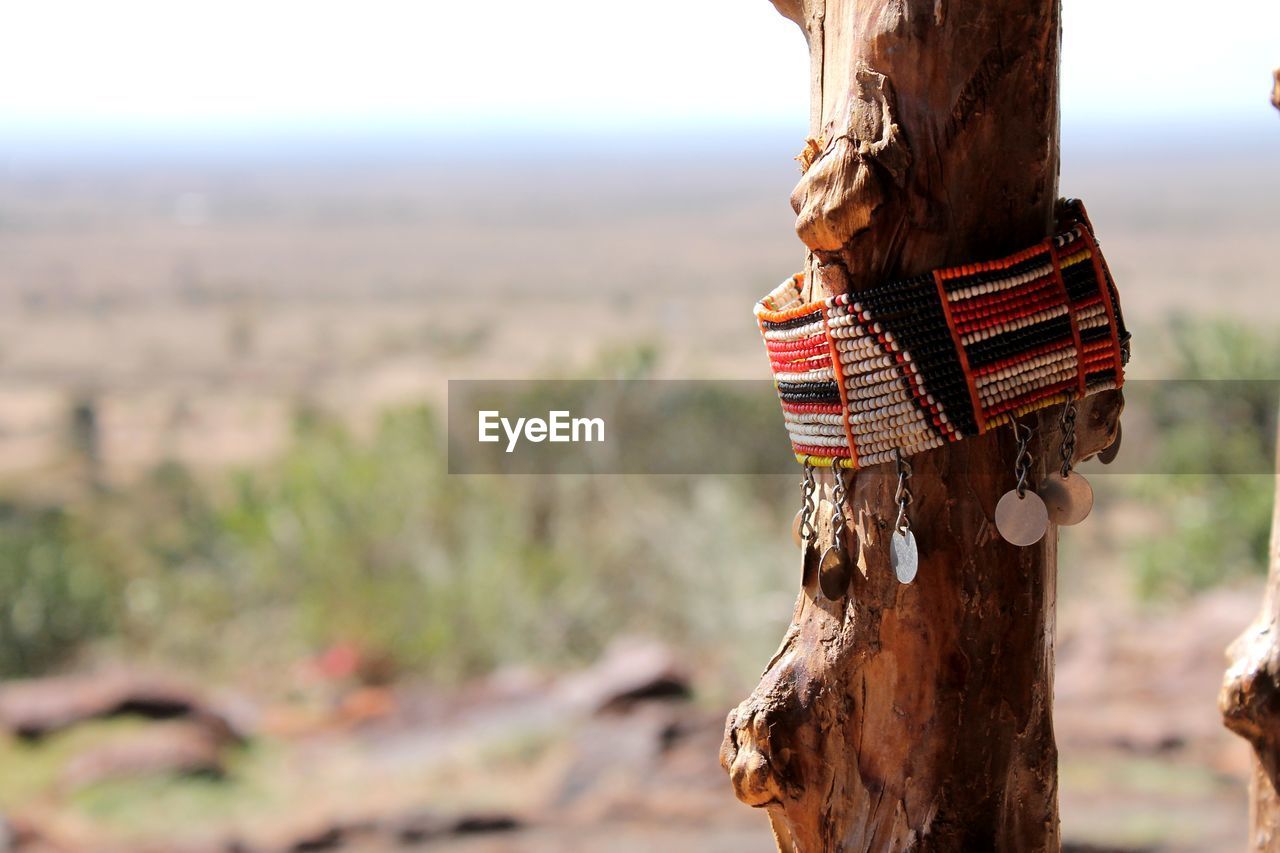 Close-up of masai jewellery on tree trunk