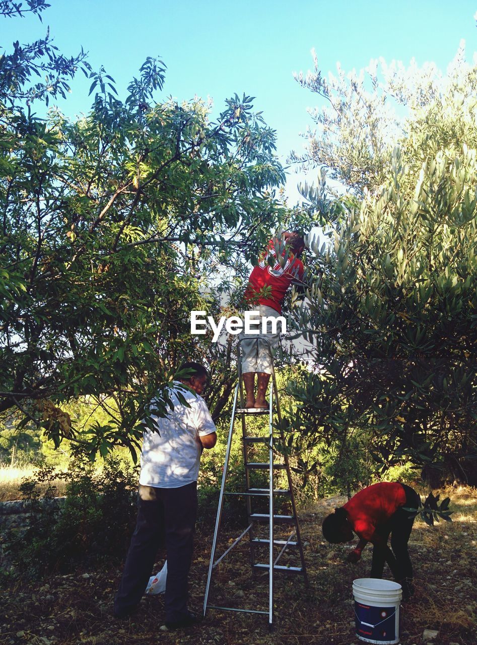 REAR VIEW OF PEOPLE STANDING BY LADDER