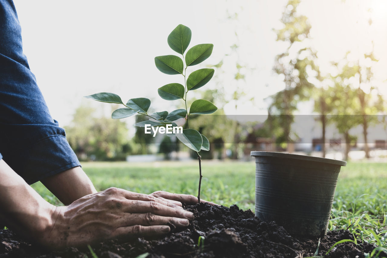 Close-up of man planting plant in park