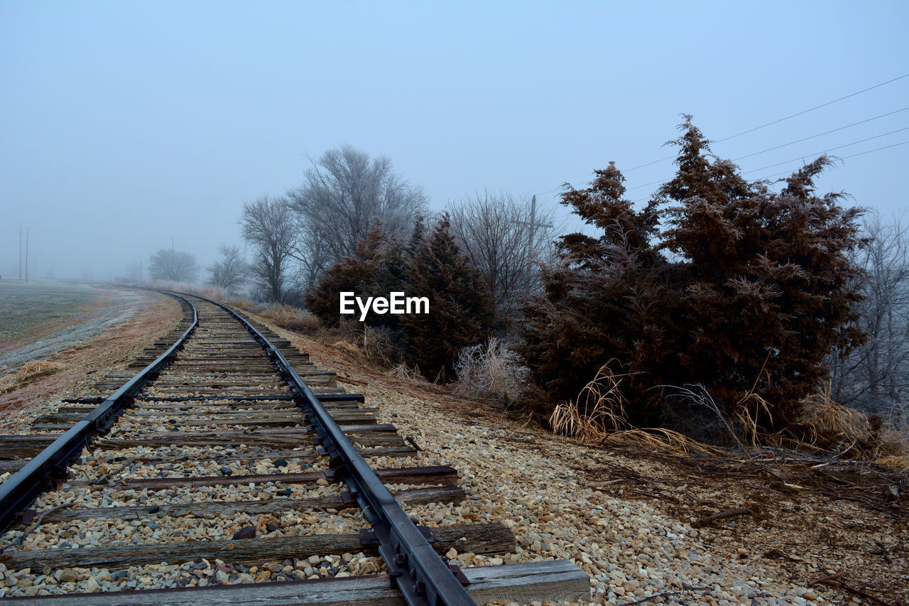 SURFACE LEVEL OF RAILROAD TRACKS AGAINST TREES