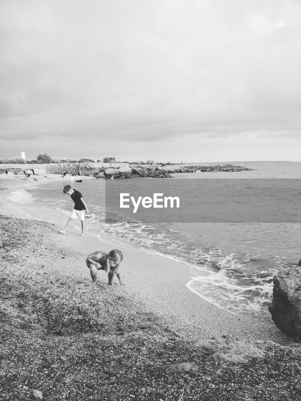 VIEW OF DOG ON BEACH