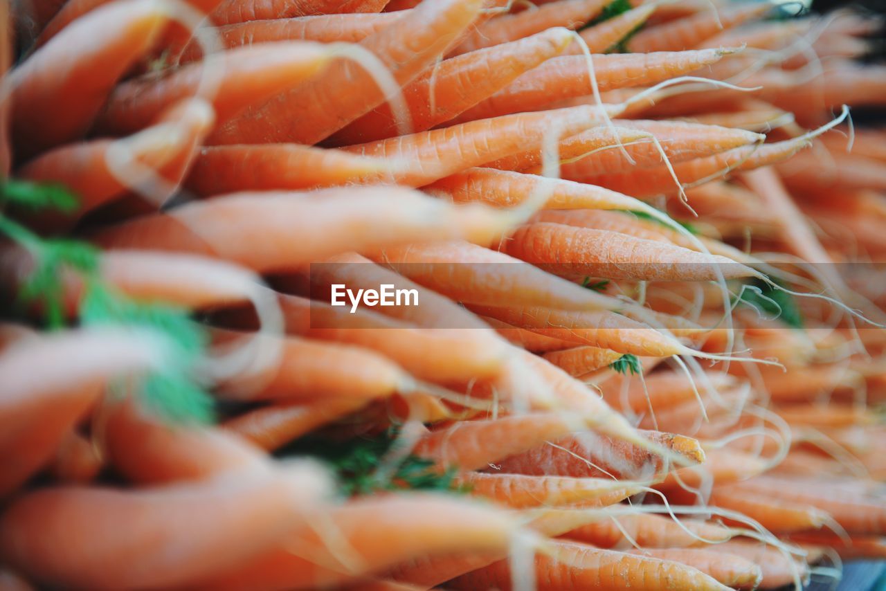 CLOSE-UP OF VEGETABLES