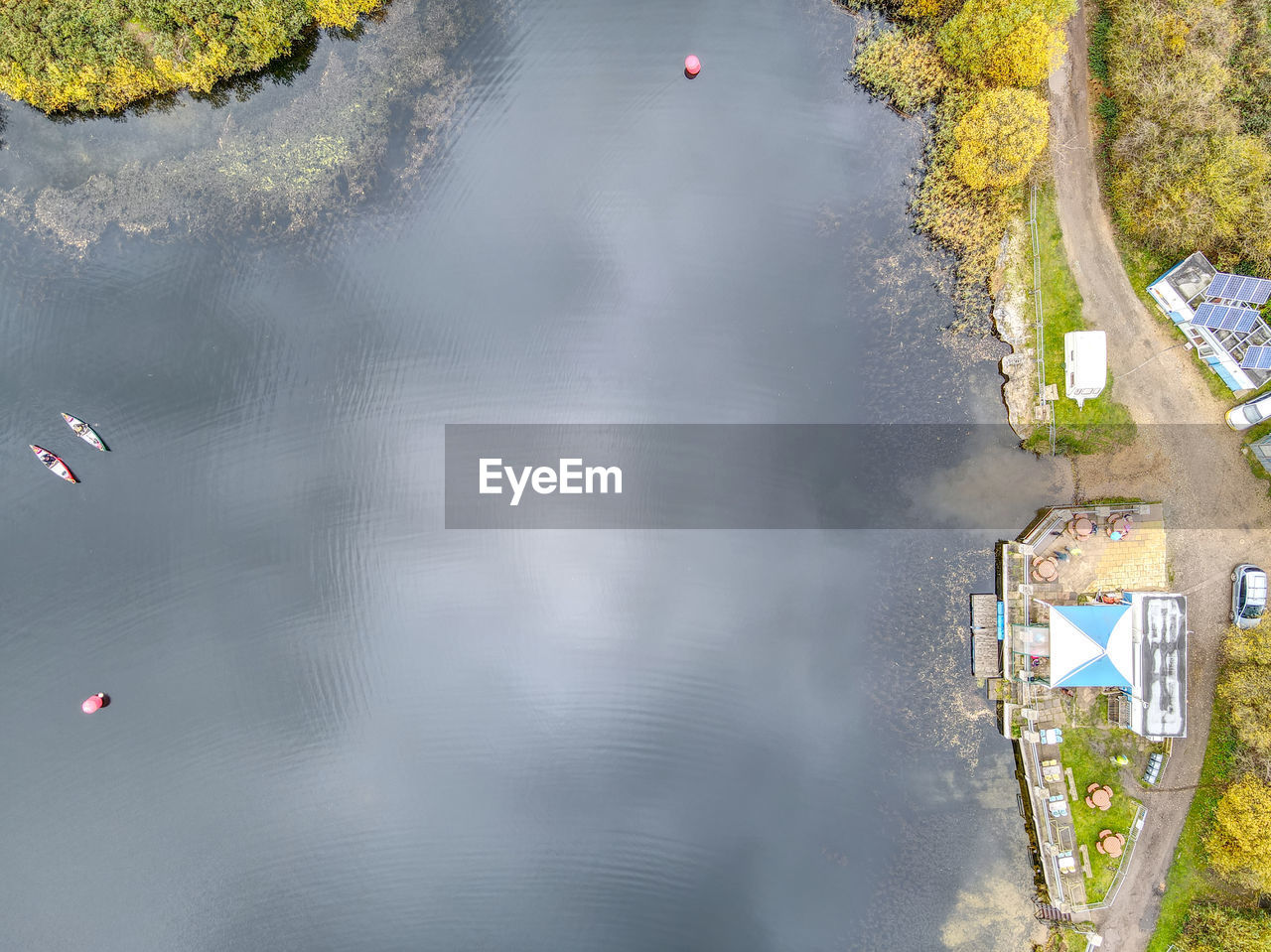 HIGH ANGLE VIEW OF PLANTS FLOATING ON WATER