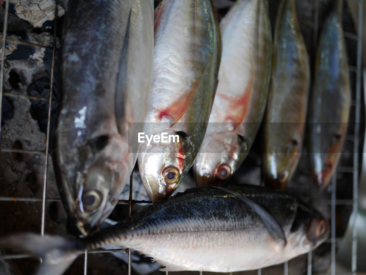 HIGH ANGLE VIEW OF FISH IN MARKET