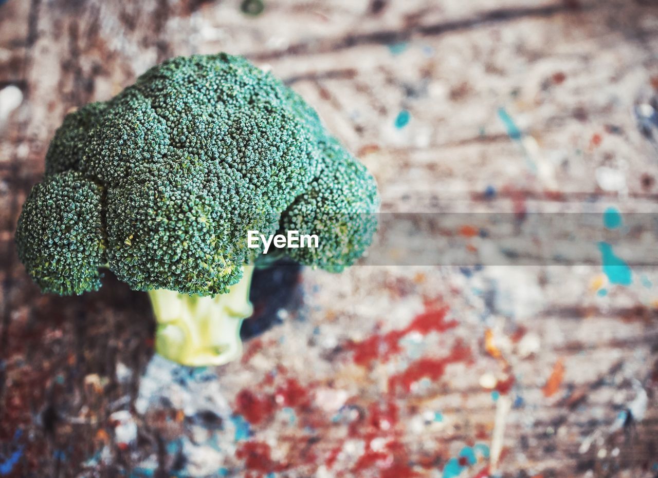 Close-up of broccoli on table