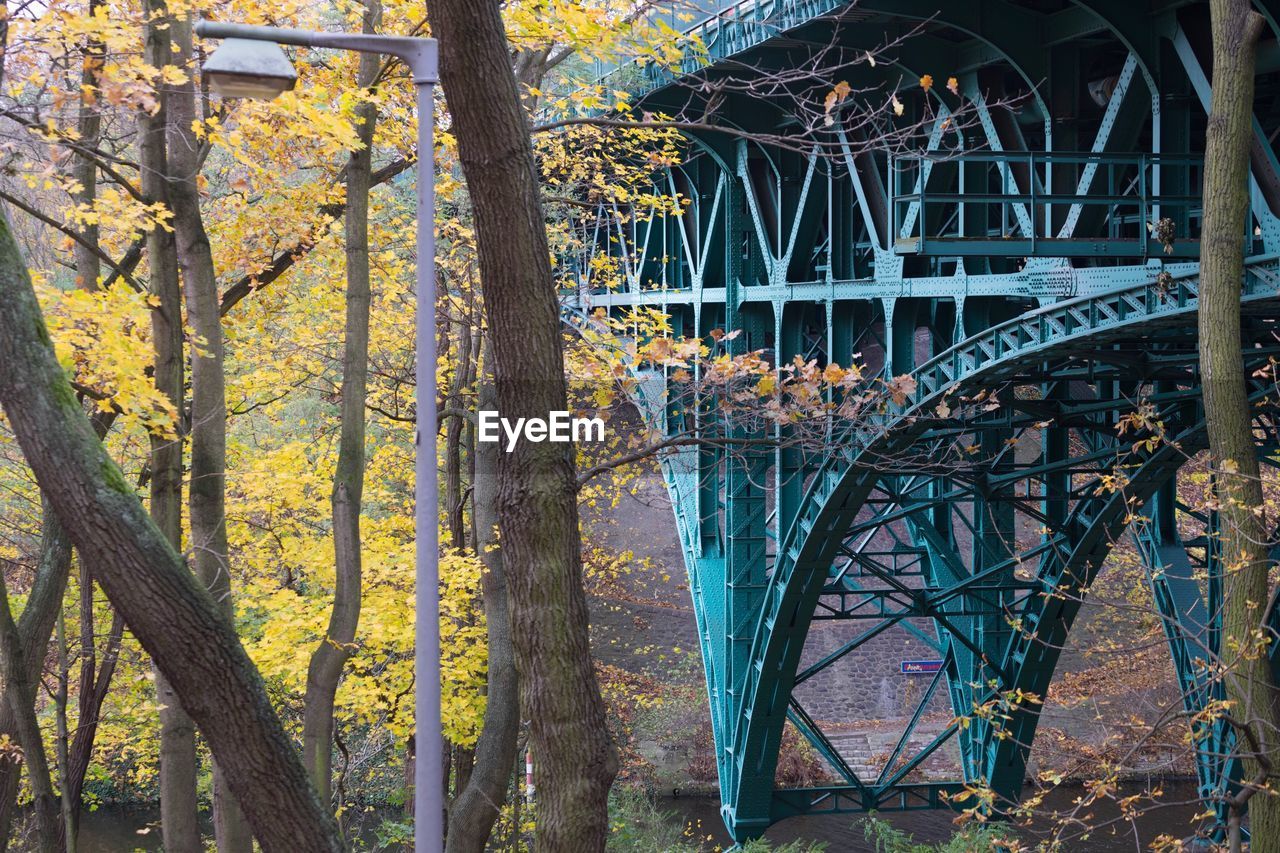 Trees with yellow leaves near a river with a blue, turquoise bridge during autumn