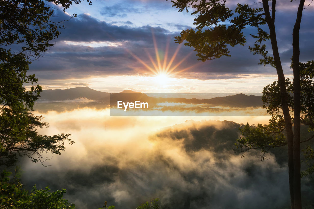 Aerial view beautiful of morning scenery golden light sunrise and the mist flows, wonder fog.