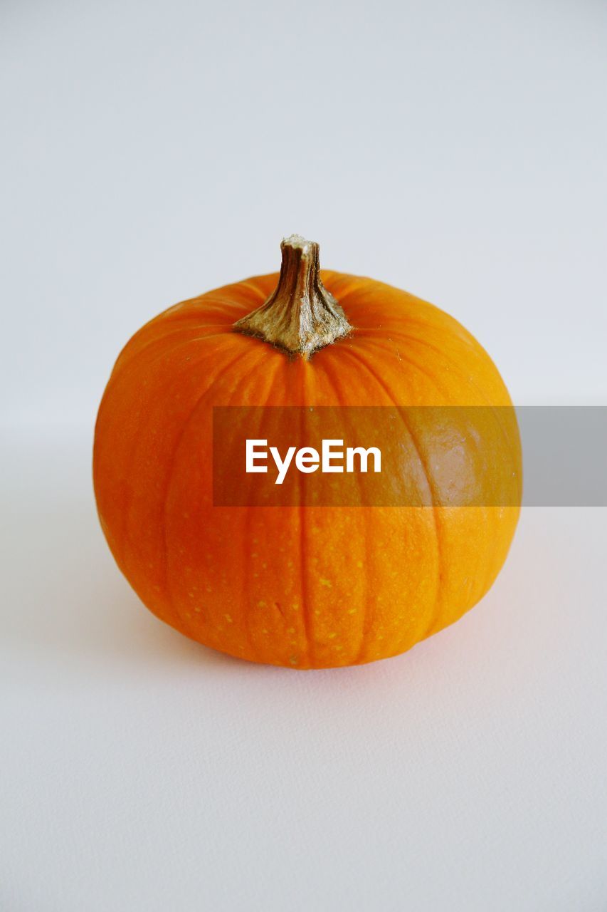 Pumpkin against white background