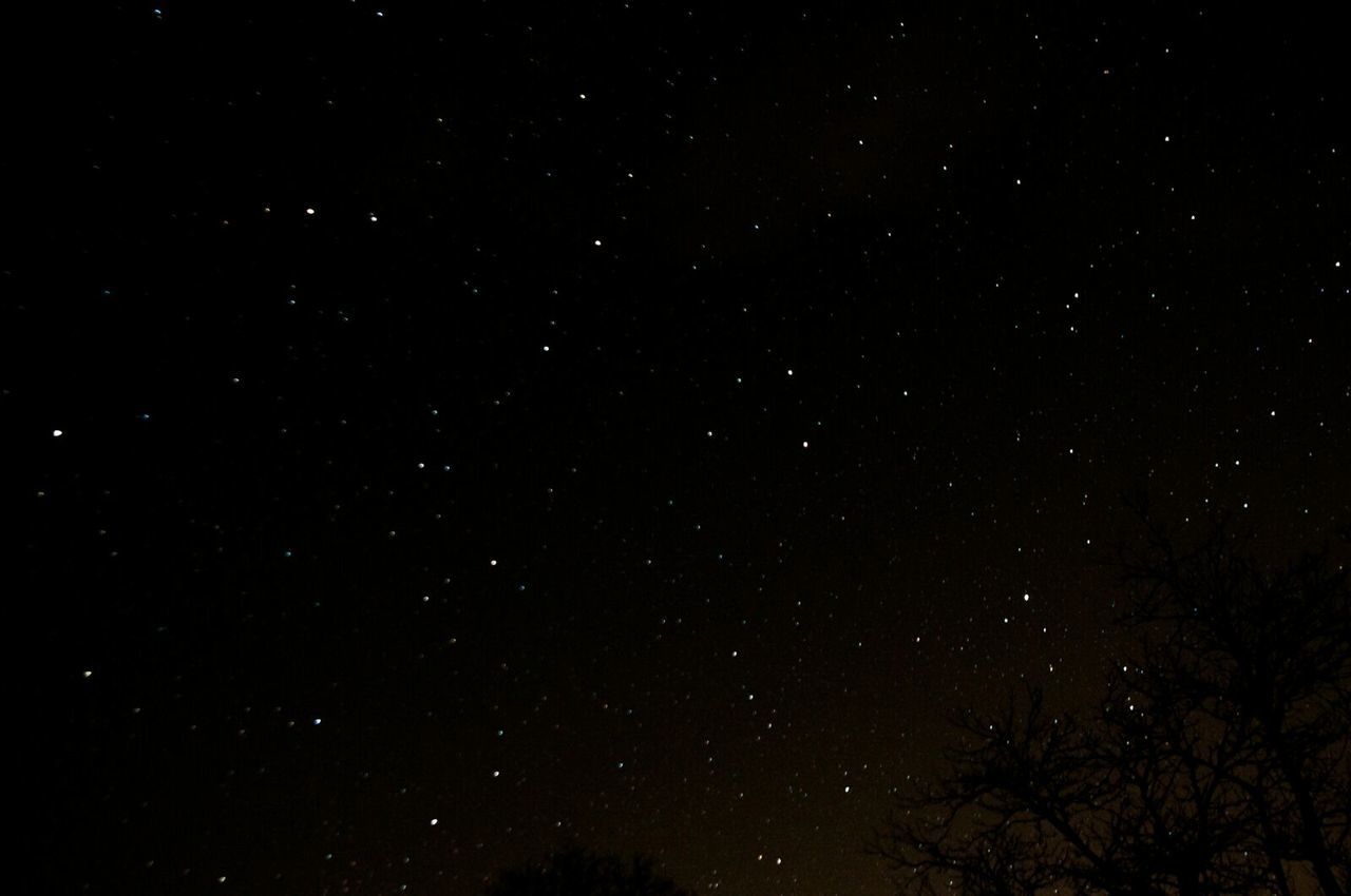 LOW ANGLE VIEW OF STARS IN SKY