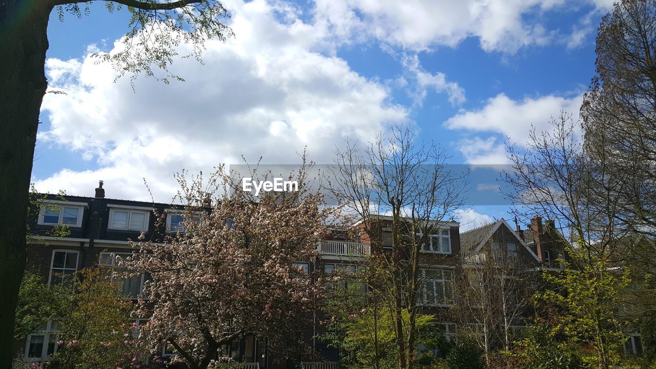 BUILDINGS AGAINST SKY