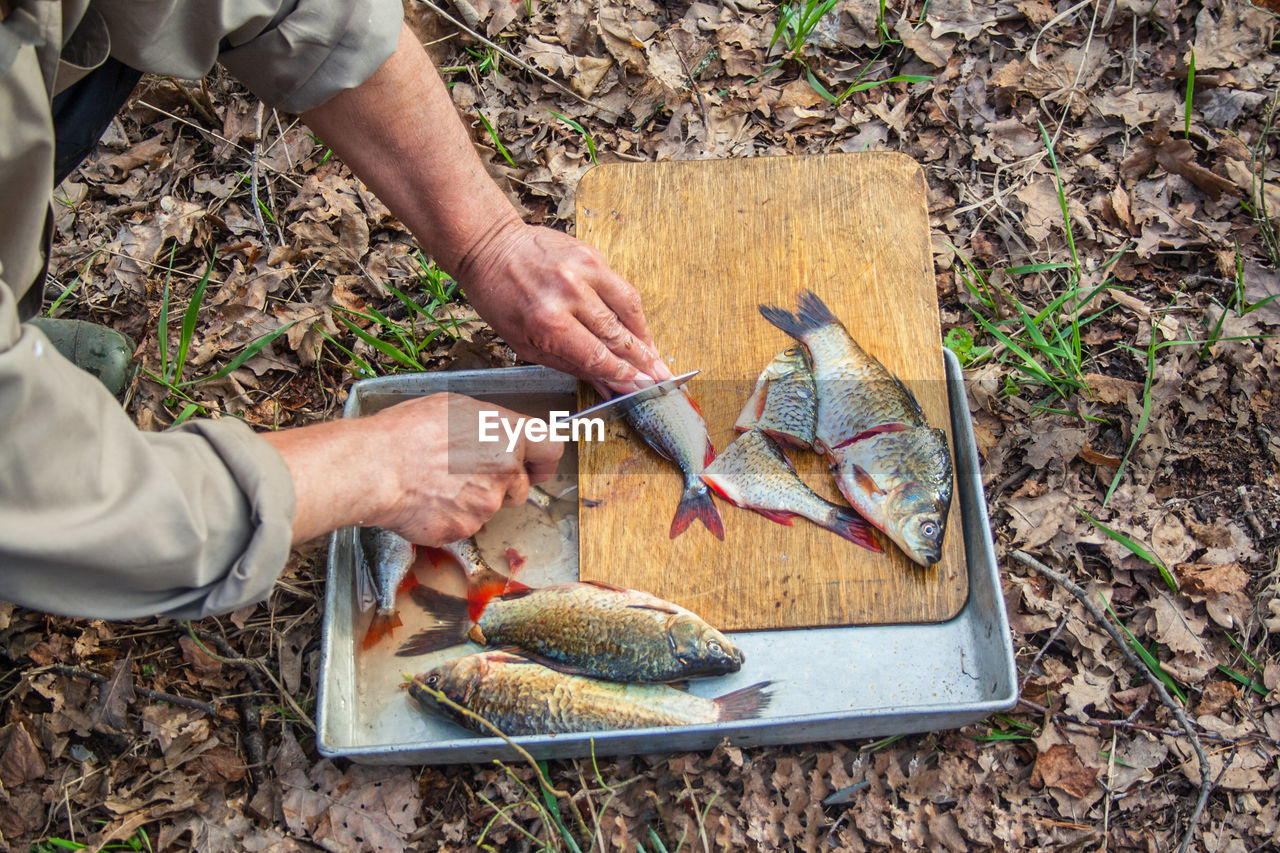 Cropped hands of man cutting fish on field