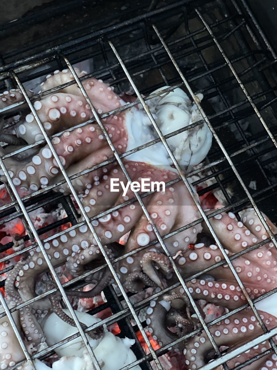 High angle view of octopus food