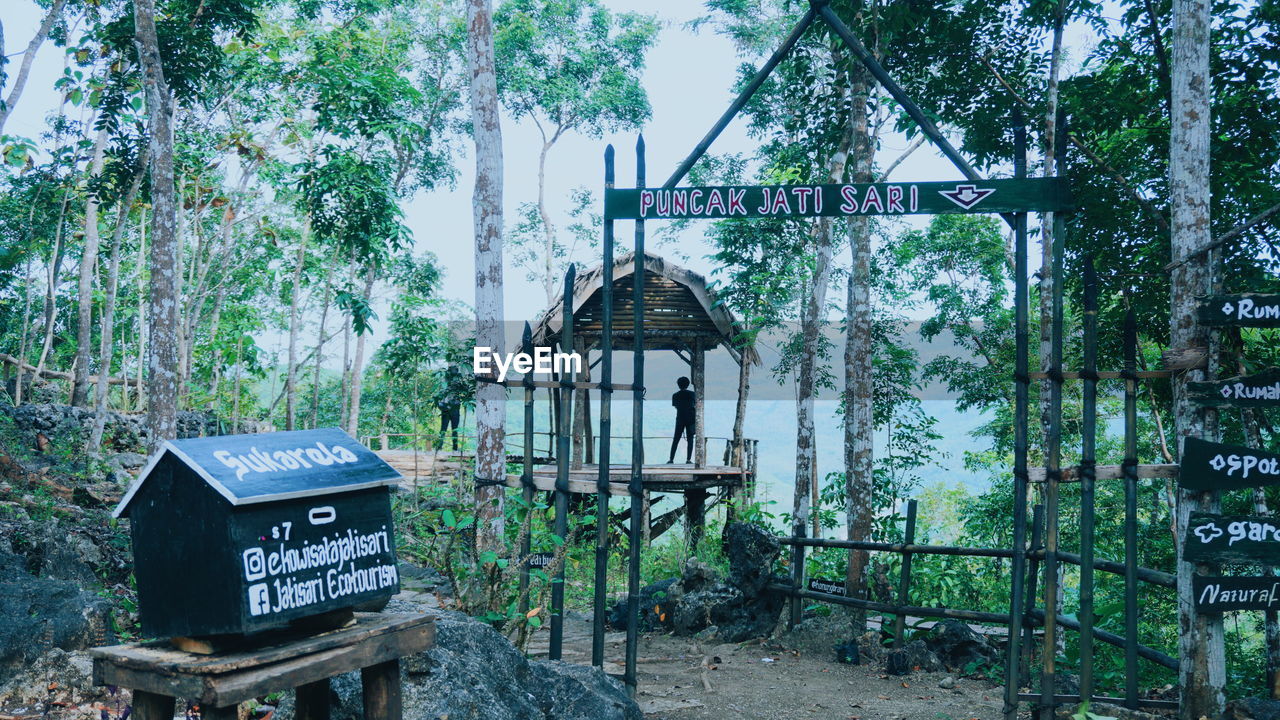 plant, tree, text, nature, western script, no people, communication, day, architecture, land, outdoors, built structure, sign, growth, urban area