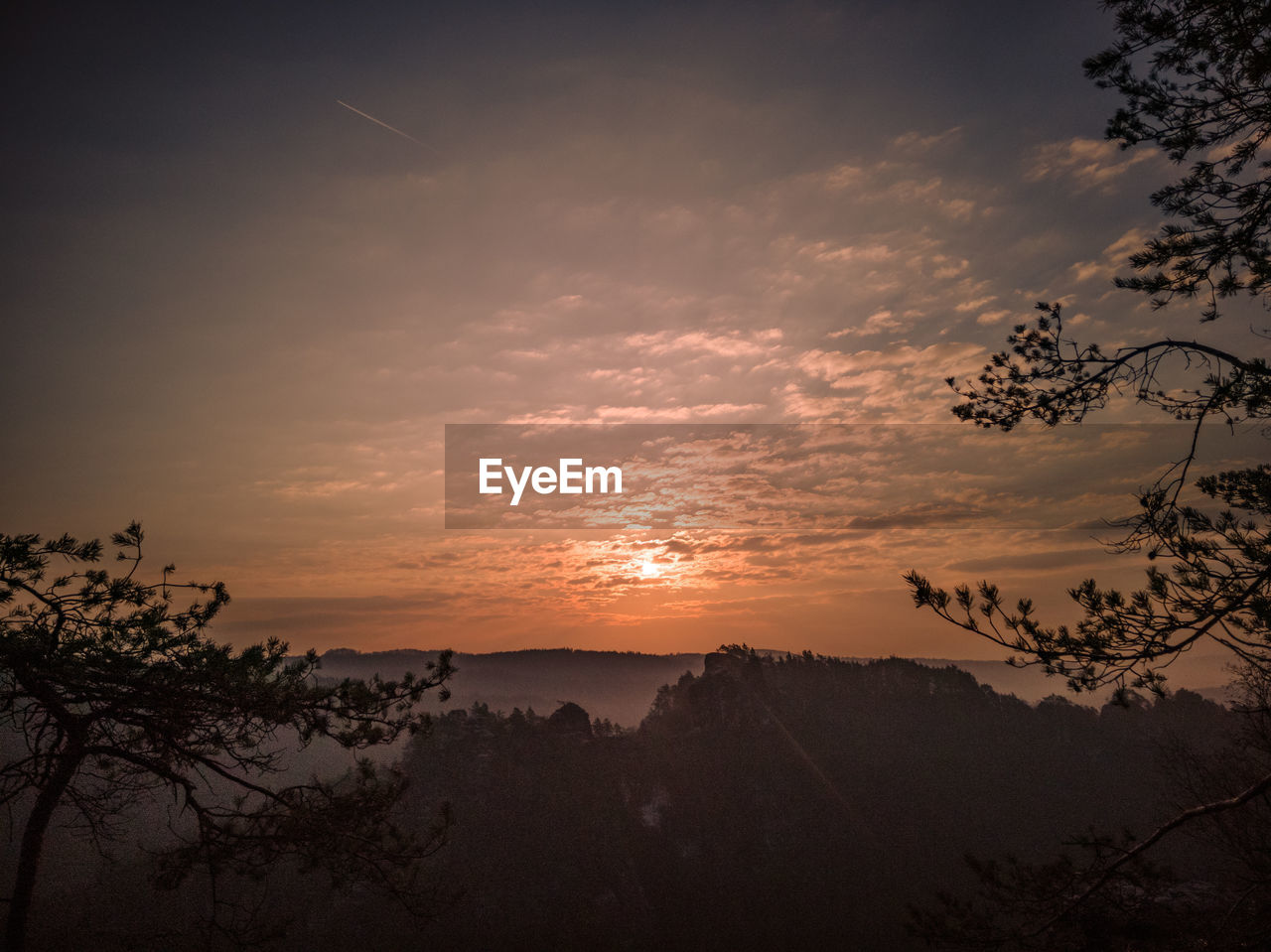 SCENIC VIEW OF SILHOUETTE TREES AGAINST ROMANTIC SKY