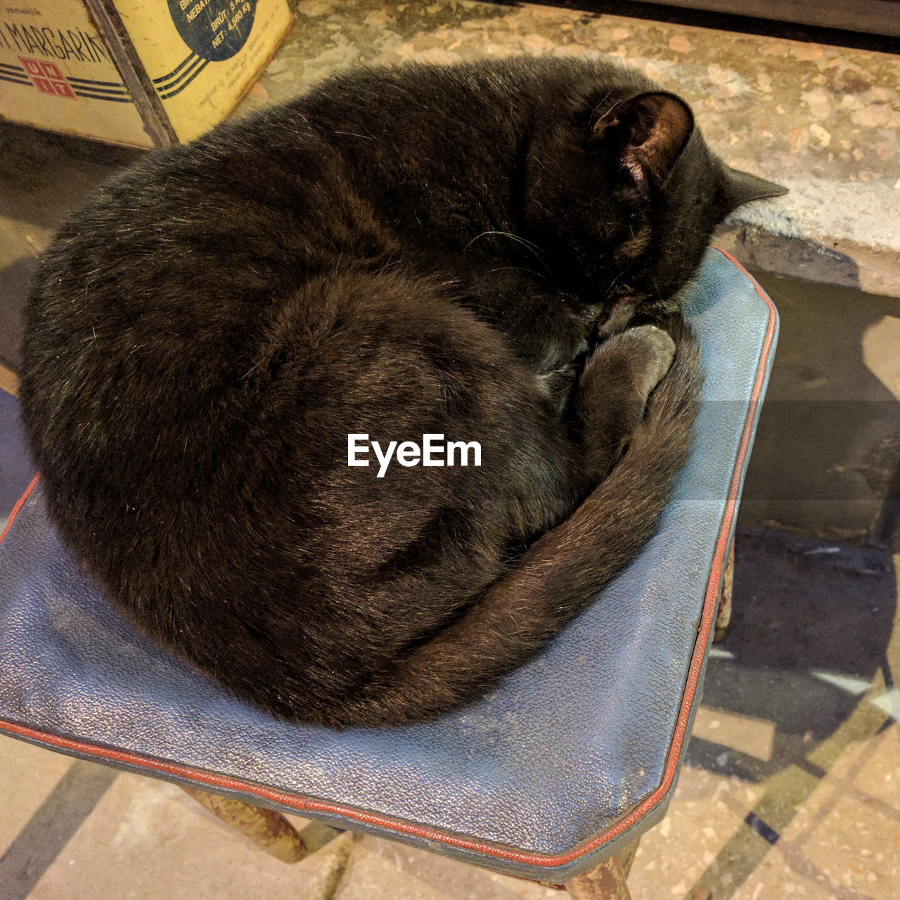 HIGH ANGLE VIEW OF CAT SLEEPING IN CONTAINER