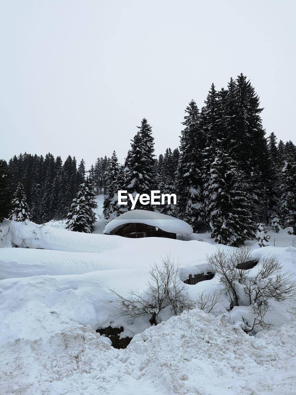 SNOW COVERED FIELD AGAINST CLEAR SKY