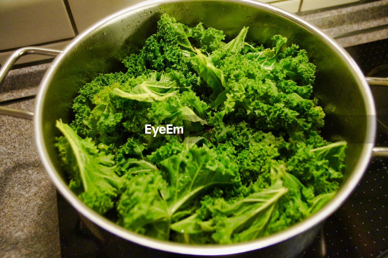 High angle view of green cale in bowl