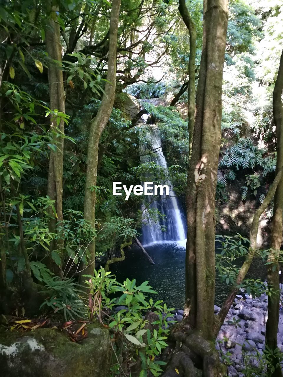SCENIC VIEW OF WATERFALL