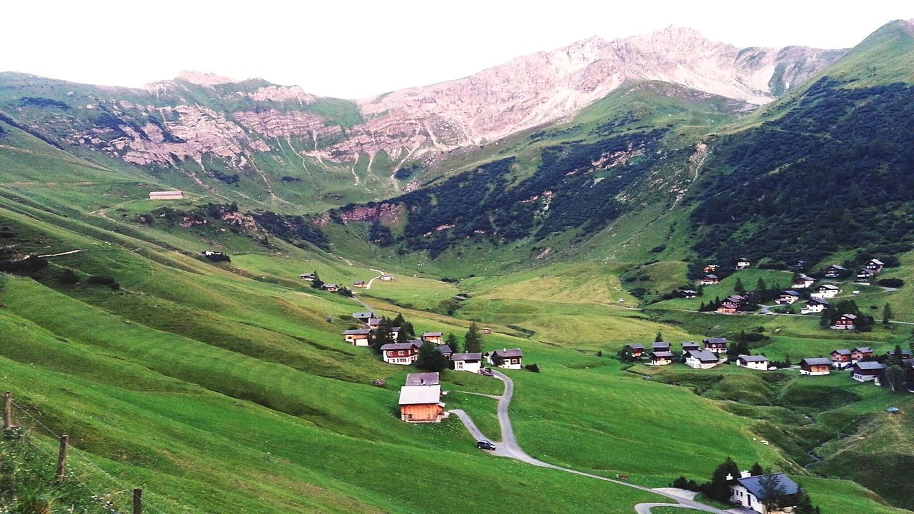 Scenic view of grassy field