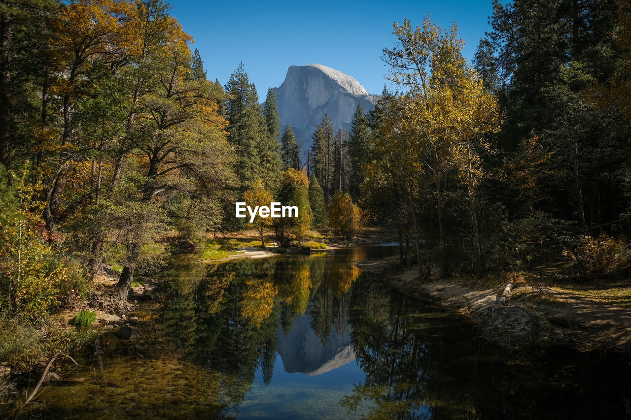 REFLECTION OF TREES IN LAKE DURING AUTUMN