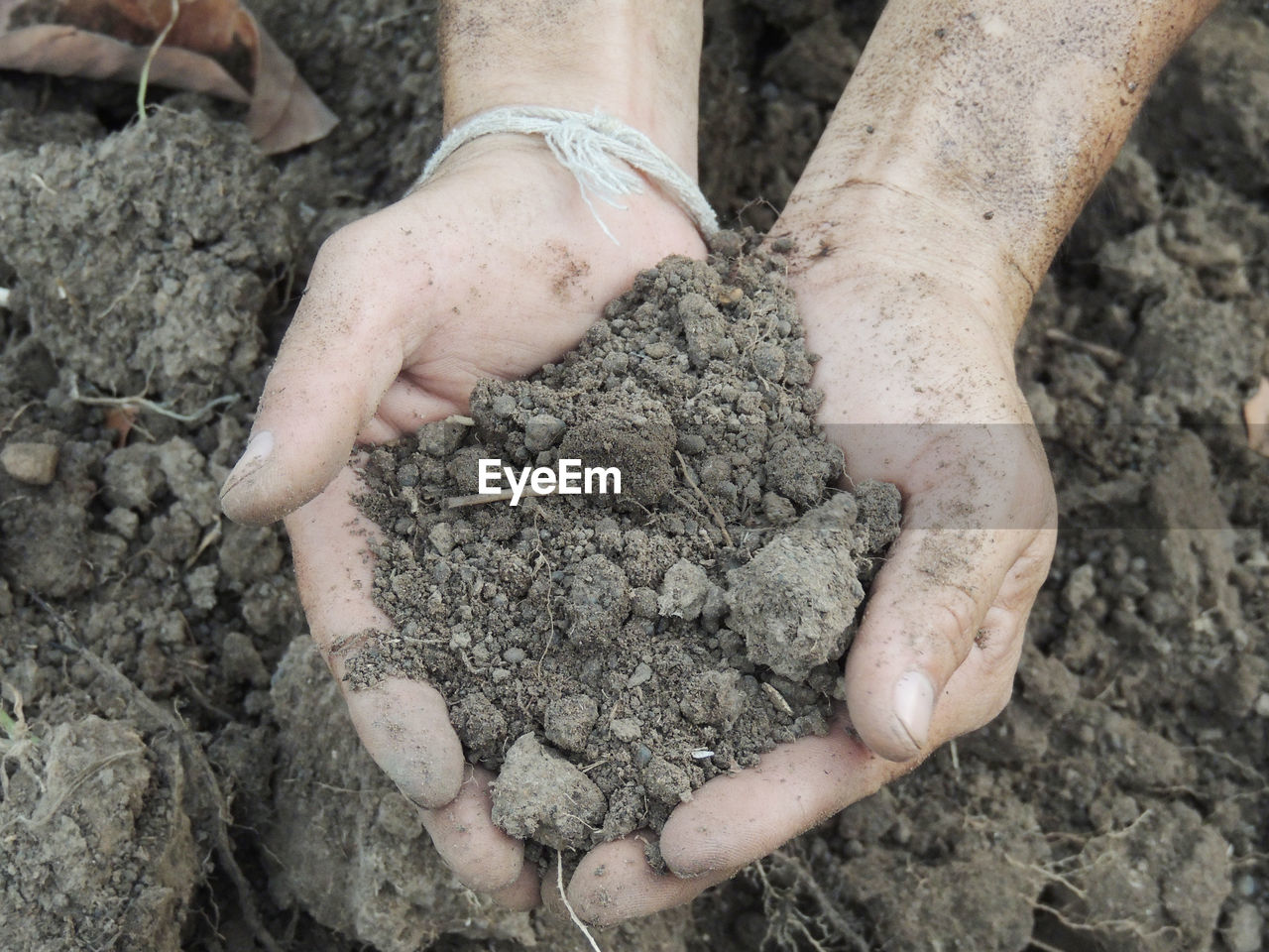 High angle view of hands holding soil