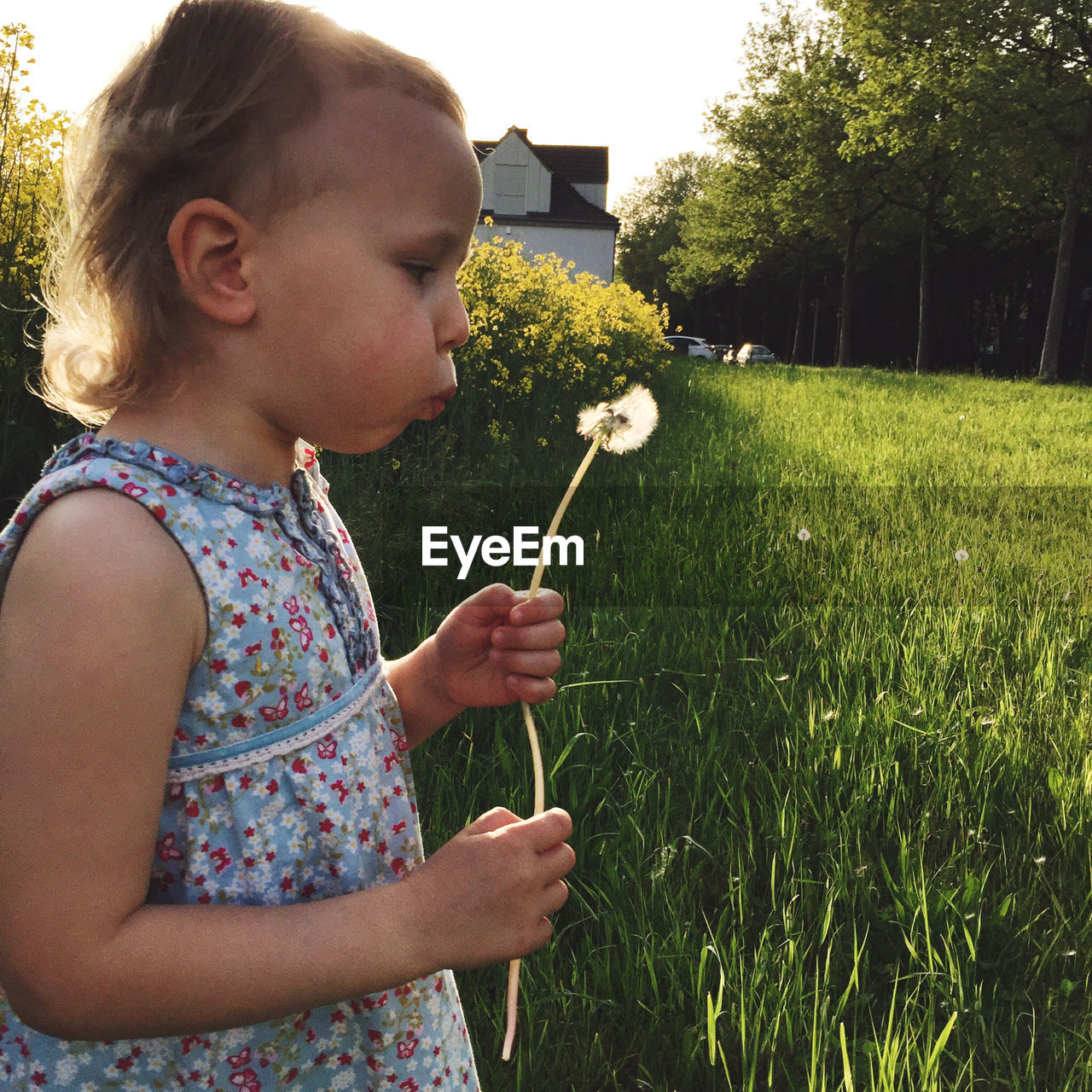 Cute girl blowing dandelion while standing outdoors