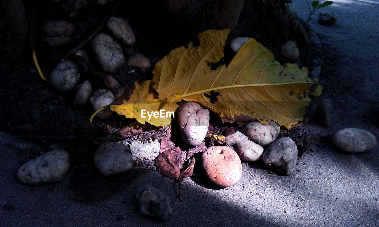 STONES ON PEBBLES