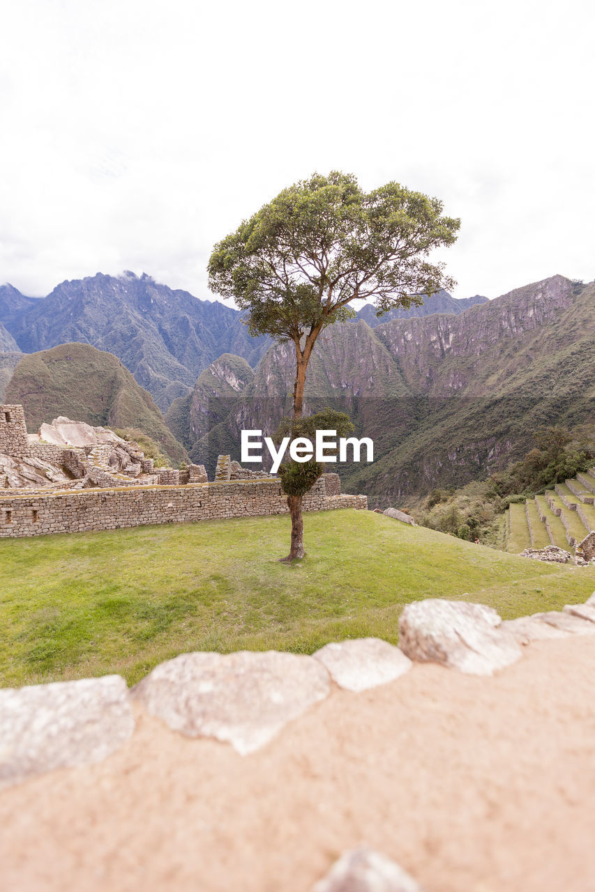 Old ruins of machu pichu, peru