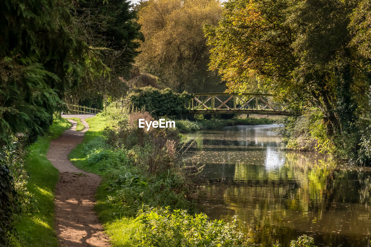 Bridge on the river wey