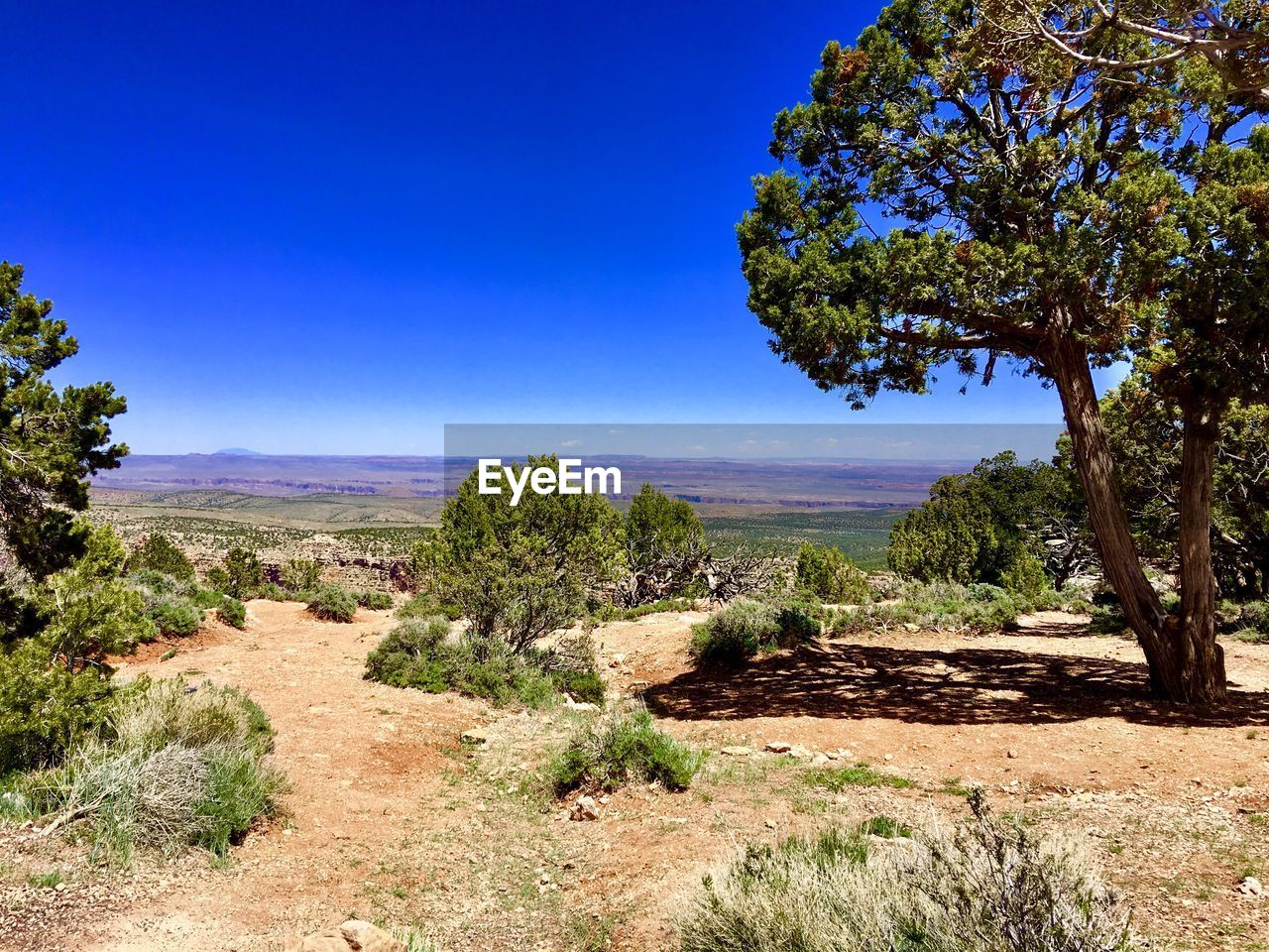 Scenic view of landscape against clear blue sky