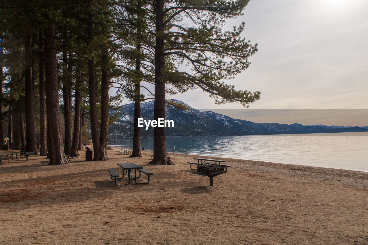 Landscape of picnic table, grill and tall tree trunks on lake tahoe at incline village, nevada