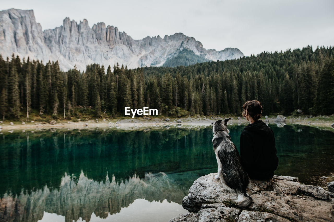 Rear view of woman sitting with dog by lake at forest