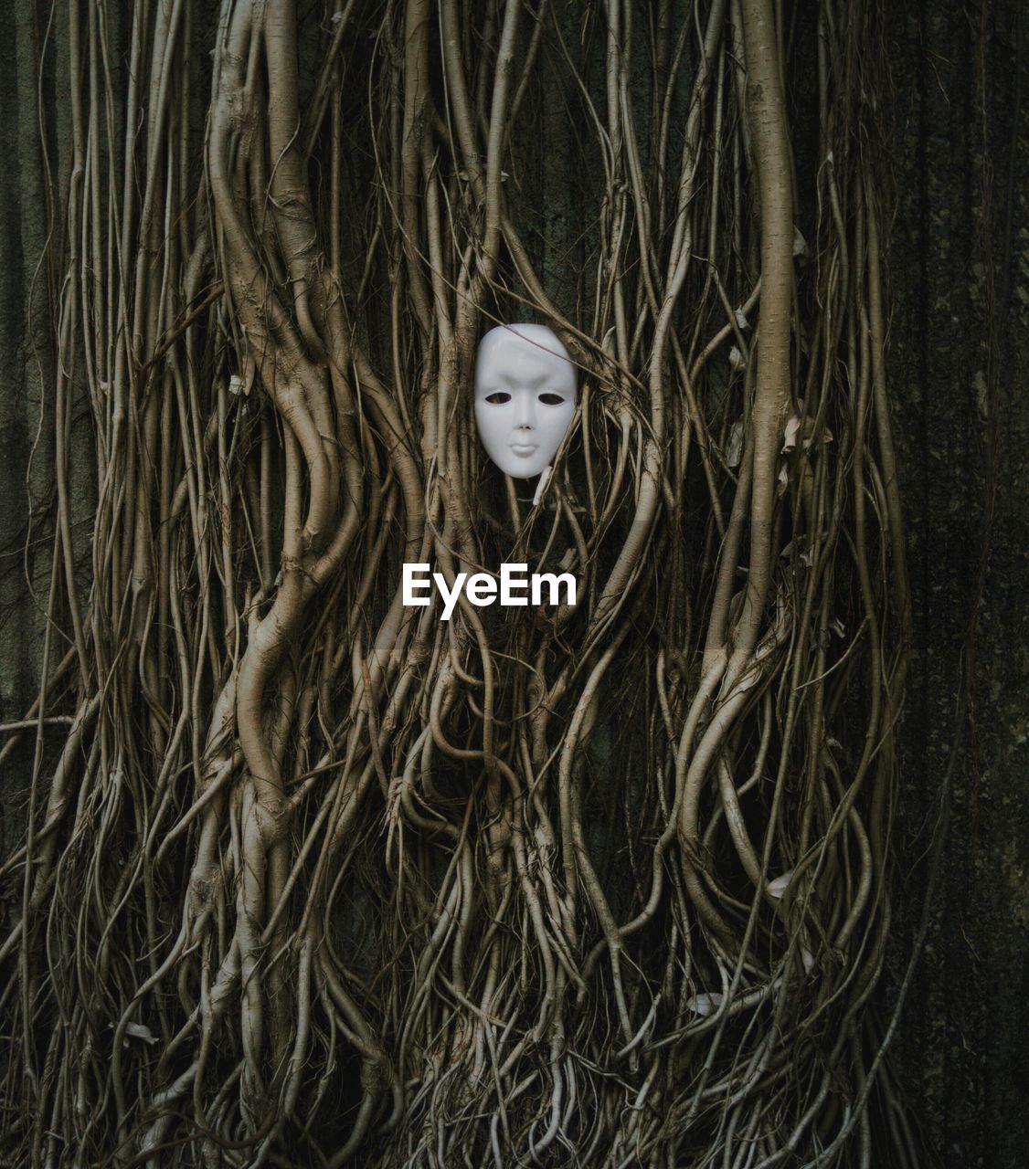 Mask amidst roots of tree